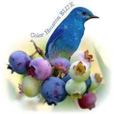 blue2.jpg